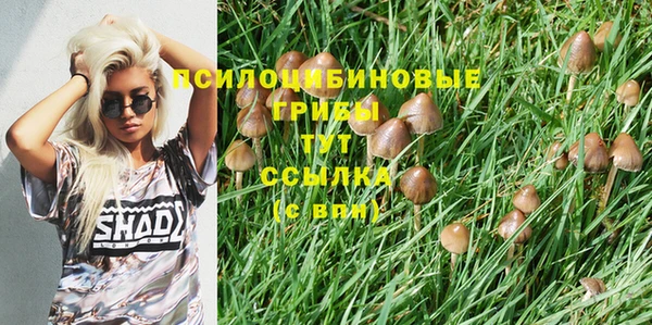 ПСИЛОЦИБИНОВЫЕ ГРИБЫ Слюдянка