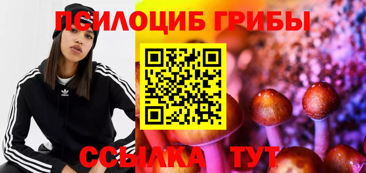 Галлюциногенные грибы GOLDEN TEACHER Фурманов